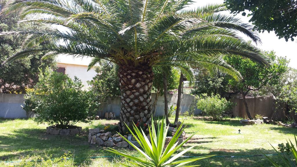Villa Gandamar Santa Teresa Gallura Exterior foto
