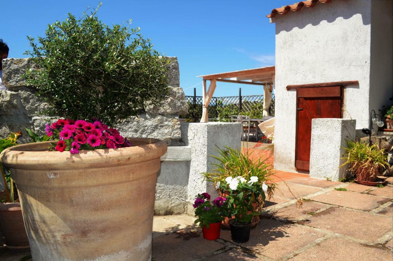 Villa Gandamar Santa Teresa Gallura Exterior foto